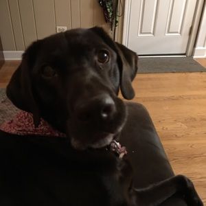 Meet your Posher, Emma